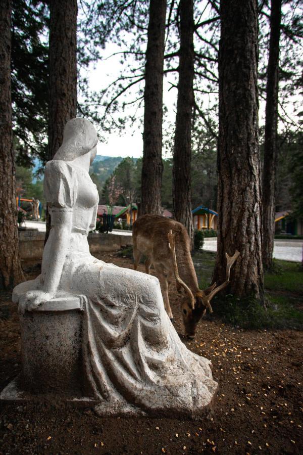 Te'Dreri - Llogora Tourist Village Dhërmi エクステリア 写真